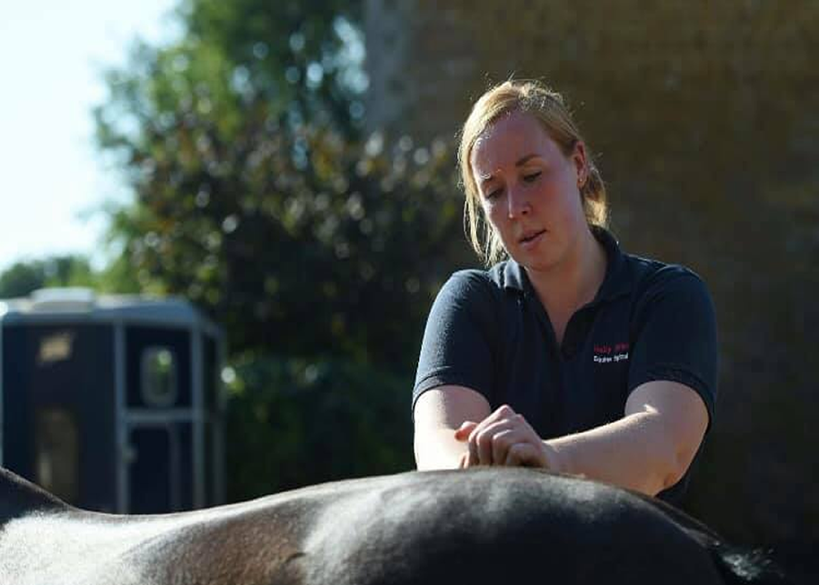 Equine Spinal Therapist